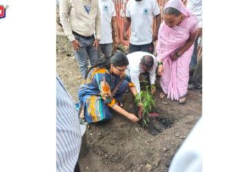 जळगाव जिल्ह्यात ३०० ग्रामपंचायतींमध्ये एकाच दिवशी स्वच्छता, वृक्षारोपण मोहीम