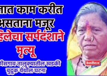 शेतात काम करीत असताना मजूर महिलेचा सर्पदंशाने मृत्यू