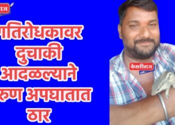 गतिरोधकावर दुचाकी आदळल्याने तरुण अपघातात ठार