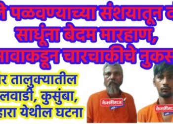 मुले पळवण्याच्या संशयातून दोन साधूंना बेदम मारहाण, जमावाकडून चारचाकीचे नुकसान