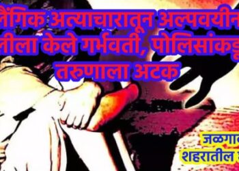 लैंगिक अत्याचारातून अल्पवयीन मुलीला केले गर्भवती, पोलिसांकडून तरुणाला अटक