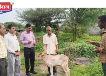 उपआयुक्त डॉ. झोड यांच्याकडून क्षेत्रीय पाहणी, पशुपालकांशी साधला संवाद