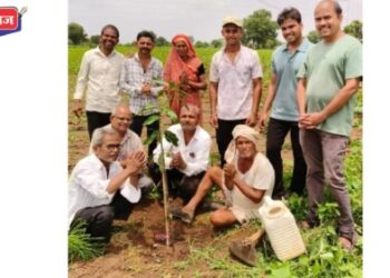 पाचोरा तालुक्यात पर्यावरणपूरक कृती : आईच्या अस्थी शेतात टाकून केले वृक्षारोपण
