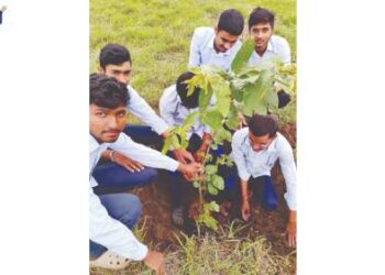 महाराष्ट्र कृषि दिनानिमित्त वृक्ष रोपण