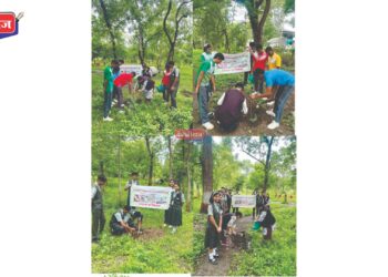 गोदावरी इंग्लिश मीडियम सीबीएसई स्कूलमध्ये वन महोत्सव सप्ताह उत्साहात