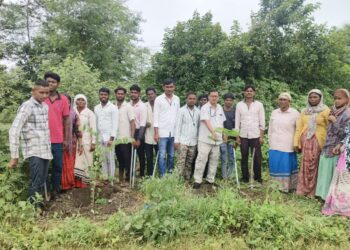 राष्ट्रीय महामार्गावर वृक्षारोपण करुन वन संवर्धन दिन साजरा