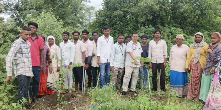 राष्ट्रीय महामार्गावर वृक्षारोपण करुन वन संवर्धन दिन साजरा