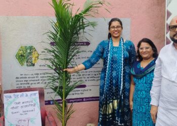 जिल्ह्यात “एक पेड माँ के नाम” उपक्रमांतर्गत वृक्षारोपण मोहीमेला सुरुवात