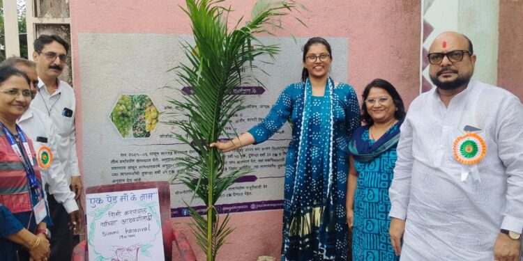 जिल्ह्यात “एक पेड माँ के नाम” उपक्रमांतर्गत वृक्षारोपण मोहीमेला सुरुवात