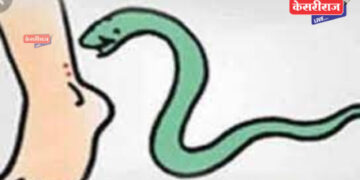 घरात जमीन सावरताना सर्पदंश झाल्याने महिलेचा दुर्दैवी मृत्यू