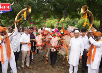 अविनाश गोपाळ, हंसराज जाधव यांना पोळा फोडण्याचा मान