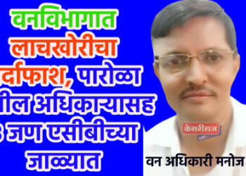 वनविभागात लाचखोरीचा पर्दाफाश, पारोळा येथील अधिकाऱ्यासह ३ जण एसीबीच्या जाळ्यात