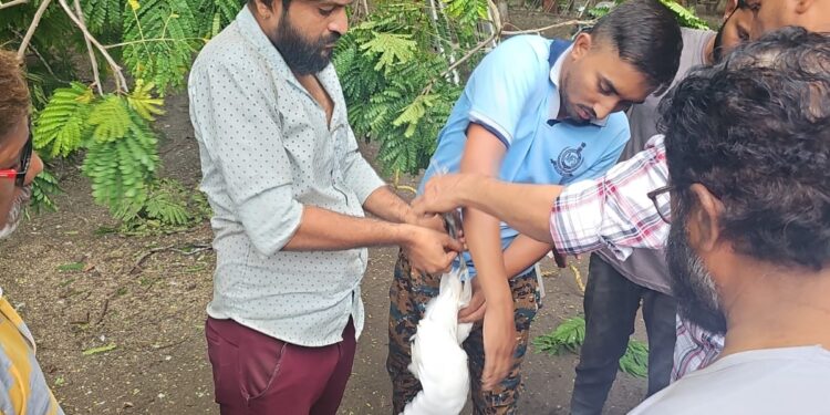 शिरसोलीच्या बारी समाज विद्यालयात लोकमान्यांच्या पुण्यतिथीनिमित्त अभिवादन