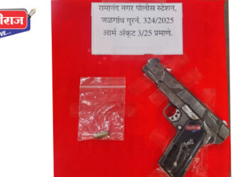 पिंप्राळा हूडको परिसरात बंदुकीने दहशत माजवणाऱ्या दादूला अटक