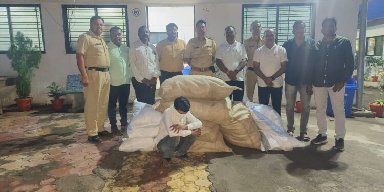 चाळीसगावात प्रतिबंधित अन्नपदार्थांवर पोलिसांची कारवाई, एकाला अटक