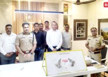 ‘आर्म ऍक्ट’चा आरोपी पुन्हा २ गावठी पिस्तूल, जिवंत काडतूससह सापडला !