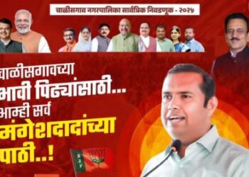 माझ्याकडे द्यायला फक्त विकास आहे, भूलथापा नाहीत!