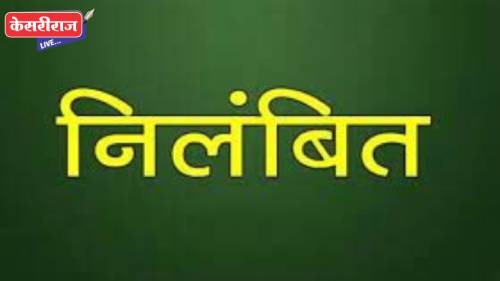 हलगर्जीपणाने काम केल्याने ग्रामपंचायत विभागातील कनिष्ठ सहाय्यक निलंबित