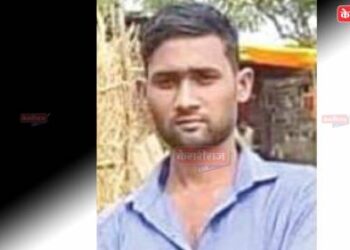 मधमाश्यांच्या हल्ल्यात तरुणाचा मृत्यू; एक गंभीर