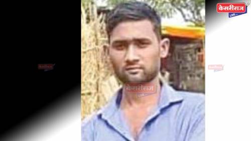 मधमाश्यांच्या हल्ल्यात तरुणाचा मृत्यू; एक गंभीर