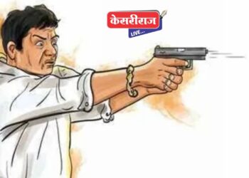 जिल्ह्यात रब्बीची ९० टक्के पेरणी पूर्ण, समाधानकारक हंगाम