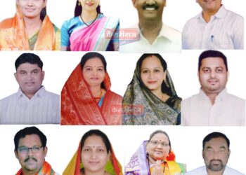 पिंप्राळ्यात महायुतीने राखली सत्ता : तरुण उमेदवारांसह अनुभवी नगरसेवकांचा भरणा