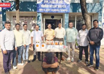 घरफोडी करणारे चोरटे पोलिसांच्या ताब्यात ; २८ हजारांचे साहित्य जप्त