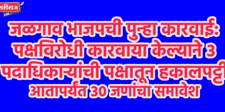 जळगाव भाजपची पुन्हा कारवाई: पक्षविरोधी कारवाया केल्याने ३ पदाधिकाऱ्यांची पक्षातून हकालपट्टी