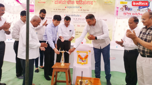 पिंगळवाडे येथे टोमॅटो पिक परिसंवाद उत्साहात, शेतकऱ्यांचा उत्स्फूर्त प्रतिसाद