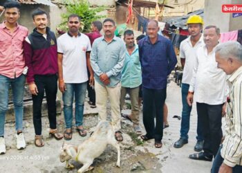 जळगाव अग्निशमन दलाची तत्परता; विहिरीत पडलेल्या बकरीला जीवदान