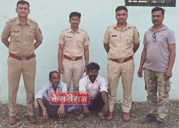 वाघझिरा वनकक्षात सागवान लाकडाची वाहतूक करताना तिघांना अटक