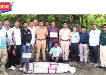 शेत शिवारात गांजाच्या शेतीवर पोलिसांचा छापा; ९३ झाडे जप्त