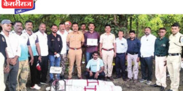 शेत शिवारात गांजाच्या शेतीवर पोलिसांचा छापा; ९३ झाडे जप्त