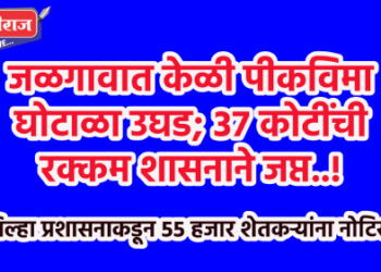 जळगावात केळी पीकविमा घोटाळा उघड; ३७ कोटींची रक्कम शासनाने जप्त..!  