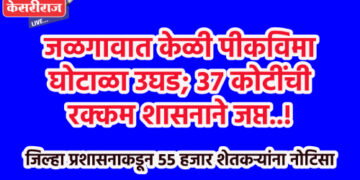 जळगावात केळी पीकविमा घोटाळा उघड; ३७ कोटींची रक्कम शासनाने जप्त..!  