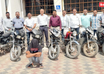 लोक चित्रकलेचा प्रचार आवश्यक – दिपमाला काळे