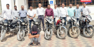 लोक चित्रकलेचा प्रचार आवश्यक – दिपमाला काळे