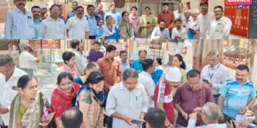  ‘जळगाव क्रिकेट लीग’ संघ मालक व आयकॉन खेळाडू जाहीर