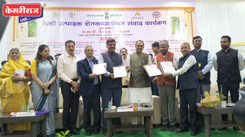 जैन इरिगेशन केळीच्या दोन नवीन जातींची रोपे टिश्यूकल्चर पद्धतीने तयार करणार