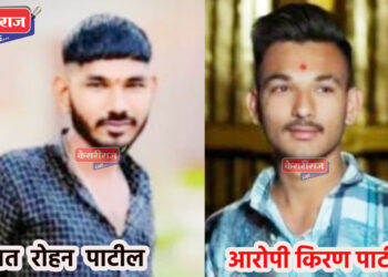 घरगुती त्रासाला कंटाळून मोठ्या भावाकडून लहान भावाची डोक्यात दगड घालून हत्या