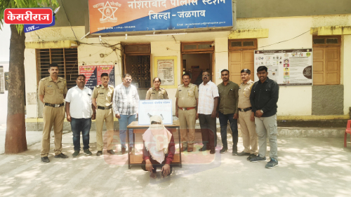नशिराबादमध्ये गावठी कट्ट्यासह सराईत गुन्हेगाराला अटक