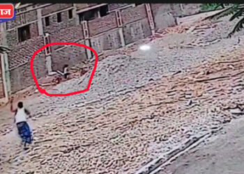 सावदा हादरले ! १० ते १२ कुत्र्यांचा चिमुरड्यावर हल्ला करण्याचा प्रयत्न..!