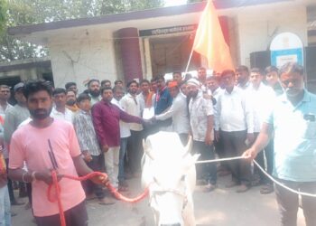 भडगावात ‘गोमाता सन्मान’ शोभायात्रेला उत्स्फूर्त प्रतिसाद