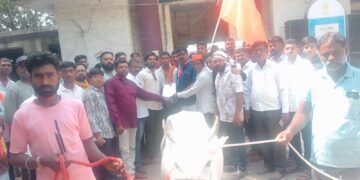 भडगावात ‘गोमाता सन्मान’ शोभायात्रेला उत्स्फूर्त प्रतिसाद