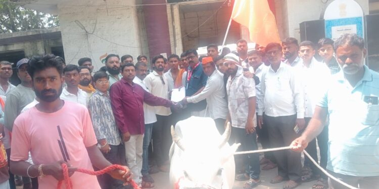 भडगावात ‘गोमाता सन्मान’ शोभायात्रेला उत्स्फूर्त प्रतिसाद