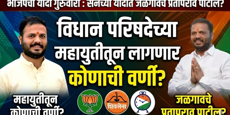 विधान परिषदेच्या जागांवर महायुतीतून लागणार कोणाची वर्णी ?