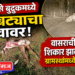 तावसे बुद्रुकमध्ये बिबट्याचा वावर; वासराची शिकार झाल्याने ग्रामस्थांमध्ये भीती