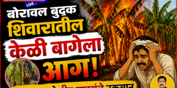 बोरावल बुद्रुक शिवारातील केळी बागेला आग; शेतकऱ्याचे दीड लाखांचे नुकसान