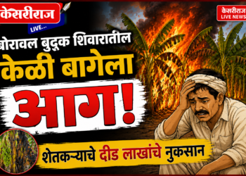 बोरावल बुद्रुक शिवारातील केळी बागेला आग; शेतकऱ्याचे दीड लाखांचे नुकसान
