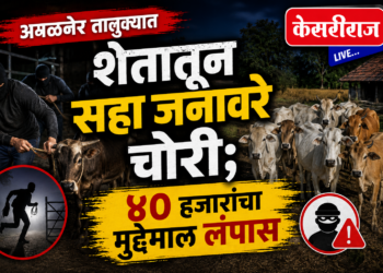 अमळनेर तालुक्यात शेतातून सहा जनावरे चोरी; ४० हजारांचा मुद्देमाल लंपास